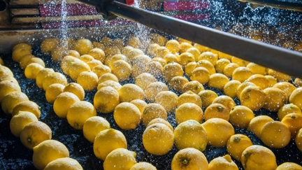 Lemons